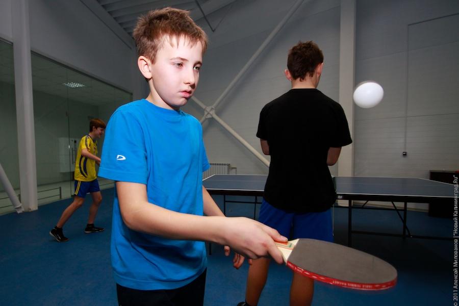 "Лось Маша и прочая законная агитация": фоторепортаж "Нового Калининграда.Ru"